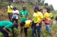 Intensify Enforcement of Mining Laws to Restore the Land - Daryl Bosu