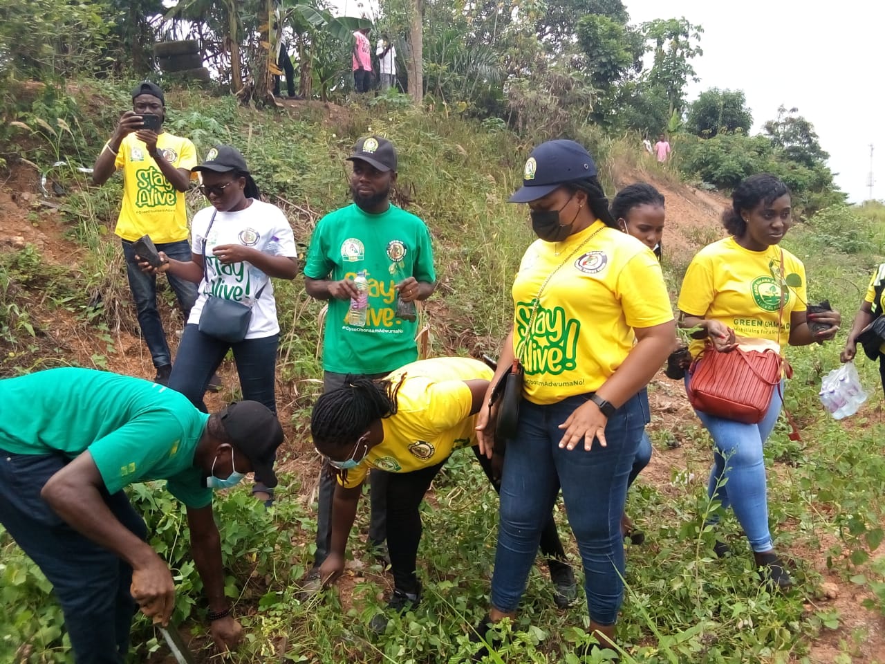 Intensify Enforcement of Mining Laws to Restore the Land - Daryl Bosu