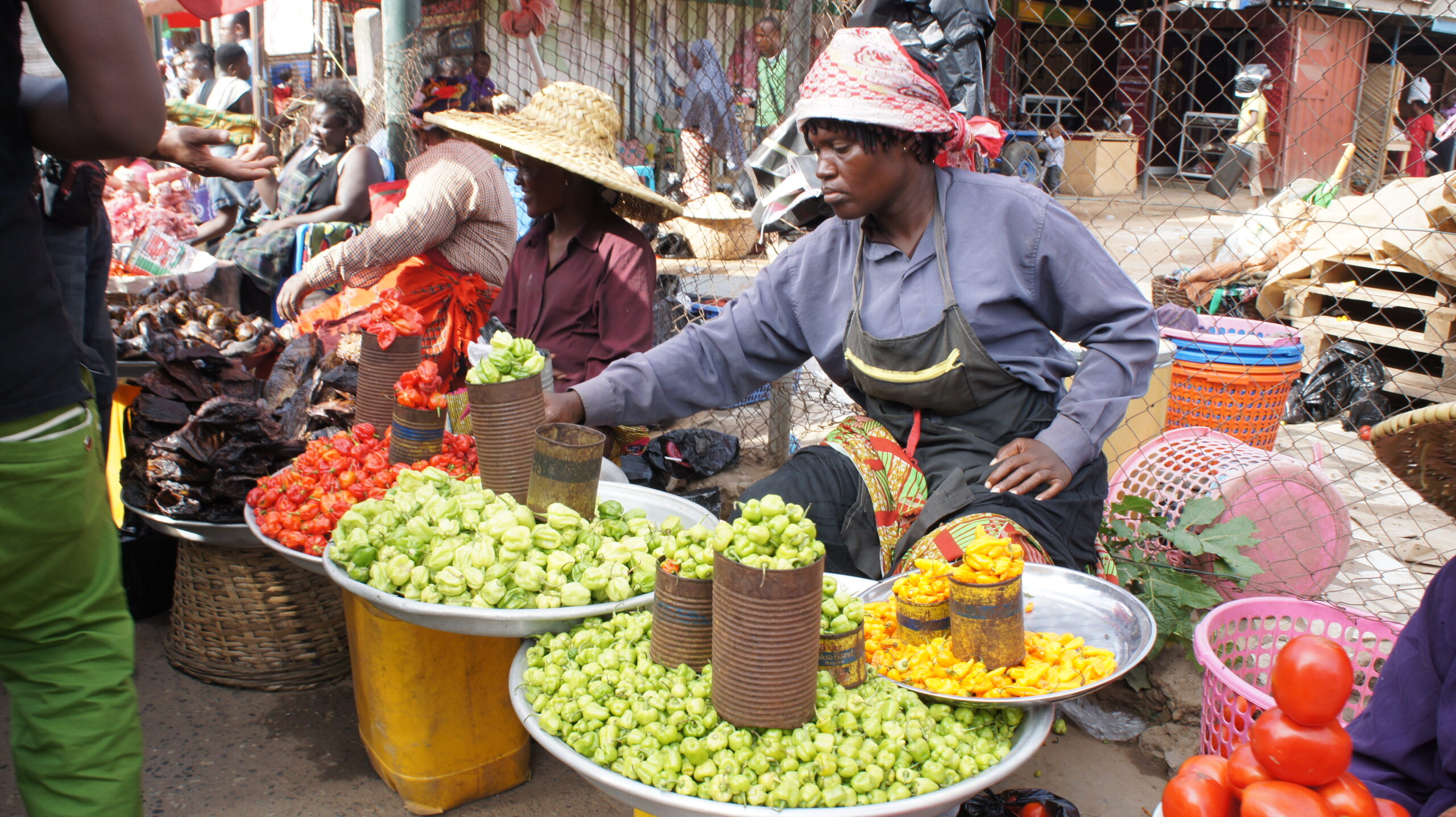 Adopt Price Control Mechanism to Deal with Inflation - Statesman Advises Gov't