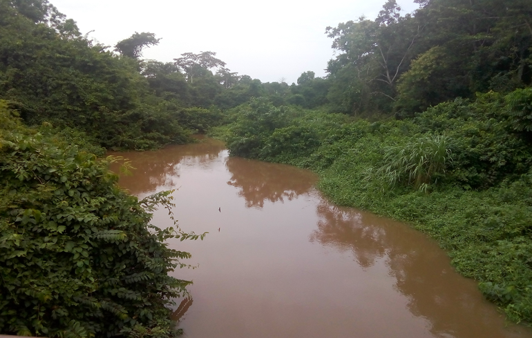 Bono East: Stakeholders Called To Protect The Tano River