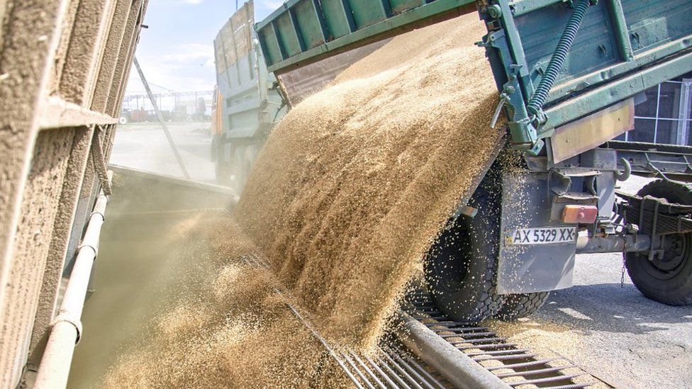 Food Crisis: Ukraine Grain Export Deal Reached With Russia, Says Turkey