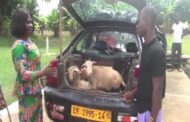 E/R: PWDs In Abuakwa North Get Goats, Sewing Machines Other Start-Ups Worth Ghc53,524