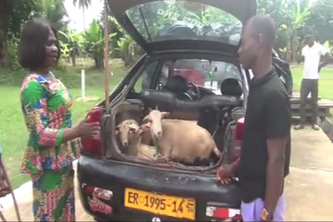 E/R: PWDs In Abuakwa North Get Goats, Sewing Machines Other Start-Ups Worth Ghc53,524