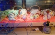 E/R: Woman ,37, Gives Birth To Set Of 5 Baby Girls