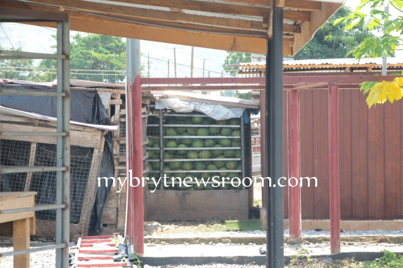 Koforidua: Brothel, Drinking Spots, Watermelon Market Constructed on Railway Lines