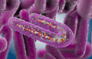 Two Cases Of Marburg Virus Disease Confirmed In Ghana