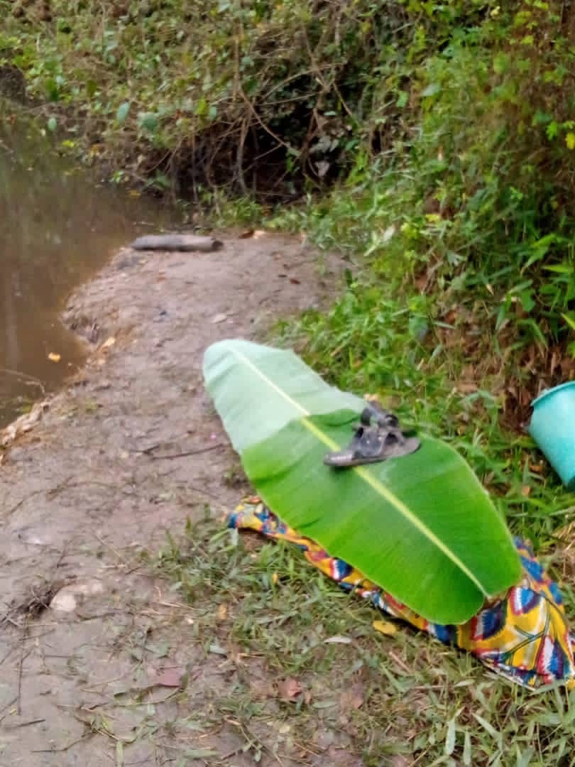 C/R: Akufo-Addo Found Dead After Drowning In Brafor Stream 