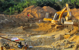 All Mining Licences Issued After December 7 Have Been Revoked - Lands Minister 