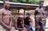 Donkorkrom: SHS Teachers, Others Grabbed For Farming Largest 'Wee' Farm
