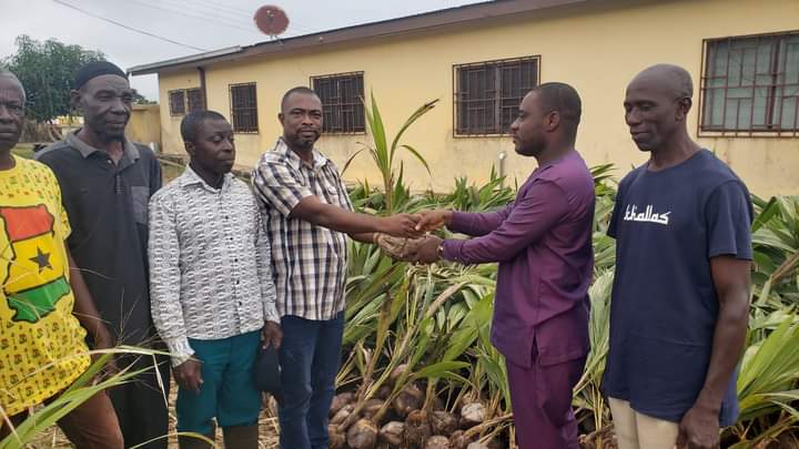 Kwahu East DCE Present 4,000 Coconut Seedlings To Farmers To Boost Livelihoods