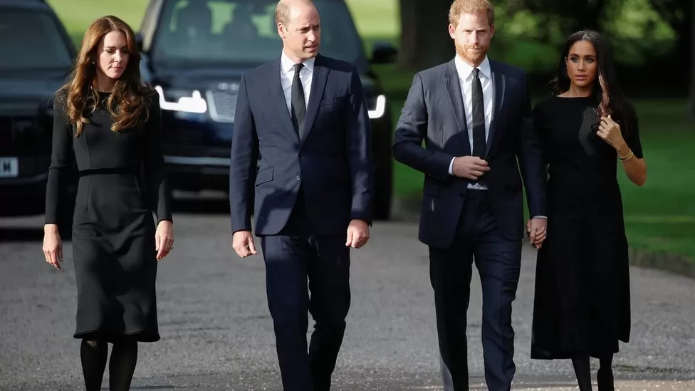 William and Harry United In Grief