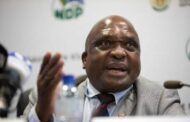 SA Citizens Should Not Enforce Immigration Law - Minister