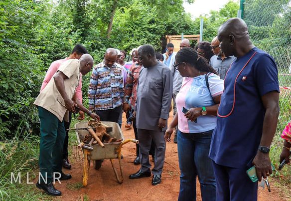 Lands Ministry, Forestry Commission Visit Accra Zoo Few Days A Lion Killed A Man