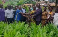 E/R: Presby Church Supports Farmers With 40K Palm Oil Seedlings