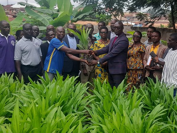 E/R: Presby Church Supports Farmers With 40K Palm Oil Seedlings