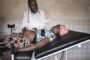 E/R: GHS Cautioned TBAs, herbalists, as 62 Pregnant Women Die