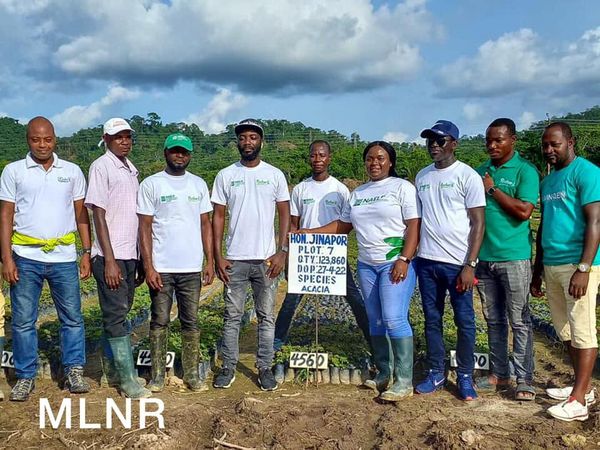 Reafforestation: NAELP Provide 80K Jobs