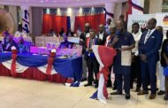 Germany: NPP Cannot Afford To Lose 2024 Elections - External Affairs Director
