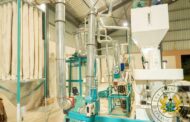 A/R: Maize Processing Factory Commissioned At Nsuta