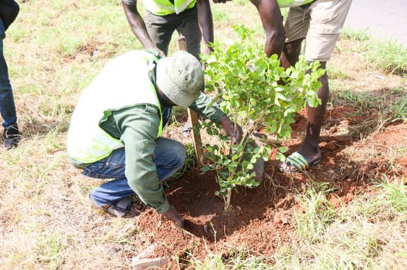 Accra: Planting Under the Green Streets Project Completed