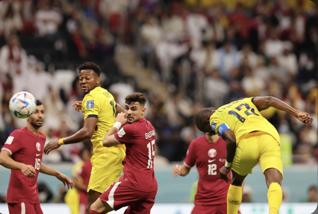 FIFA World Cup: Qatar Losses To Ecuador, Fans Reacts With Expectations