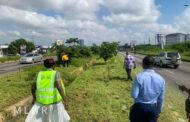 GREEN STREETS PROJECT: Lands Ministry Embarks On Maintenance Exercise Of Trees