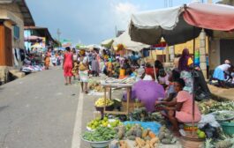 NED: Ghana's Economic Struggles Exposed