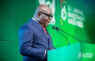 Our Role Is Not Only To Regulate But Also To Facilitate Business Investments - Free Zones CEO