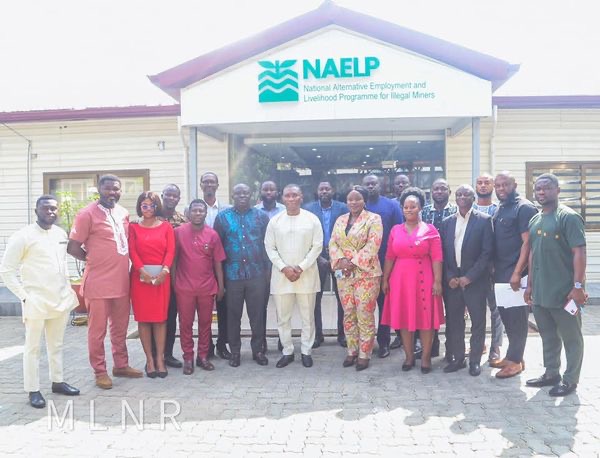 NAELP Plays  Important Role In Galamsey Fight - Deputy Minister