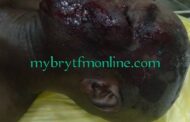 C/R: Woman Butchers Man Over Land Boundary Issues At Awutu Botoku