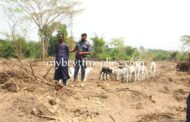 Breaking News: Fulani Herdsmen Clashes With Farmers In Gun Shots Exchange In Abuakwa North