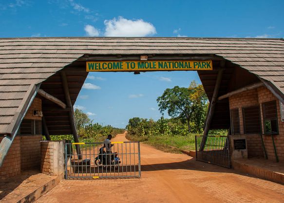 Mole National Park; Ghana’s Largest Wildlife Refuge