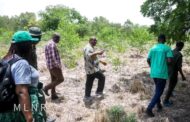 Green Ghana Day: Lands Ministry Inspect Seedlings At Shai Hills Ahead Of 2023 Edition