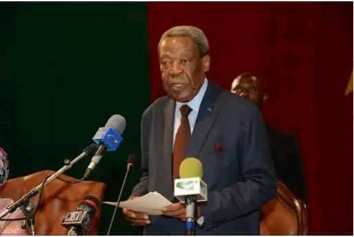 Cameroon's Parliament Reinstates 88-Year Old As Senate President