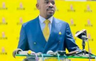 Nelson Chamisa To Lead Zimbabwe's Opposition Party For The Second Time