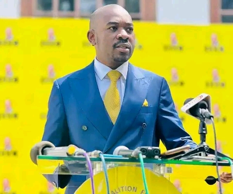Nelson Chamisa To Lead Zimbabwe's Opposition Party For The Second Time