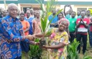 E/R: Abuakwa North Agric Department Takes Delivery Of 1,800 Oil Palm Seedlings