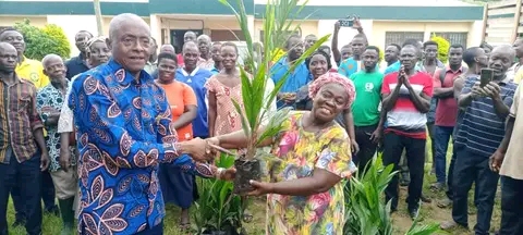 E/R: Abuakwa North Agric Department Takes Delivery Of 1,800 Oil Palm Seedlings