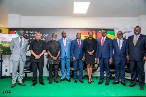 Ghana And Guyana Committed To Economic Cooperation