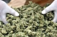 NACOC Seizes 12.67KG Of Cannabis Worth $127K At KIA Cargo Terminal