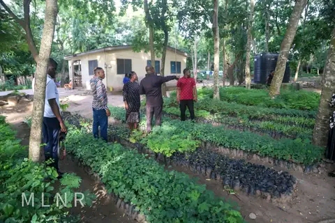 Green Ghana Day: Deputy Minister Inspects Seedlings