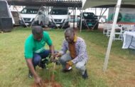 Deputy Minister Joins Rotary Club To Launch One Rotarian One Tree Initiative