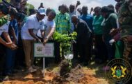 Green Ghana Day Is A Day Of Hope For Climate Action - Akufo-Addo