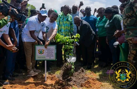 Green Ghana Day Is A Day Of Hope For Climate Action - Akufo-Addo