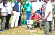Green Ghana Day: Otumfuo Plants 3rd Commemorative Tree; Pledges Commitment To Program