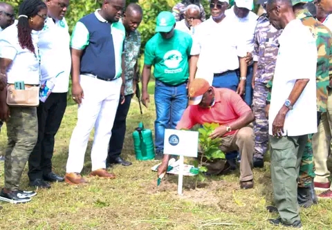 Green Ghana Day: Otumfuo Plants 3rd Commemorative Tree; Pledges Commitment To Program