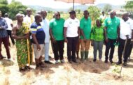 2023 Green Ghana Day: 600,000 Trees Planted In Eastern Region