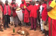 Senya Beraku: Asafo Groups Perform Rites To Destool Chief For Being Anti-Development Leader