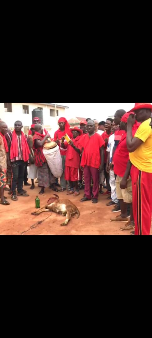 Senya Beraku: Asafo Groups Perform Rites To Destool Chief For Being Anti-Development Leader