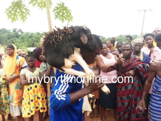 Western North: Chiefs Perform Ritual For Man For Impregnating His Sister, Having Sexual Intercourse With Girlfriend's Junior Sister At Sefwi Ntrentreso